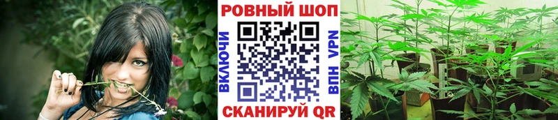 Купить наркоту Нея Гашиш Конопля АМФ БУТИРАТ Меф мяу мяу
