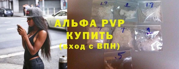 прущие грибы Баксан
