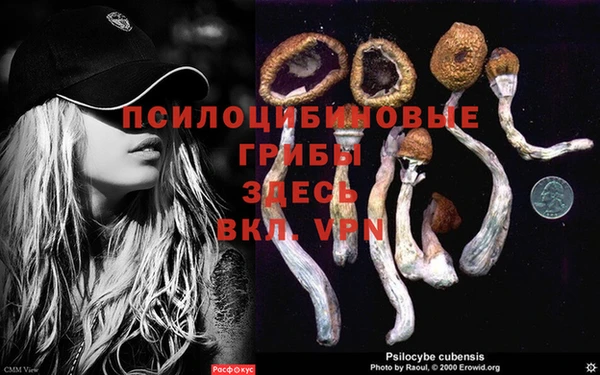 кокаин VHQ Аркадак