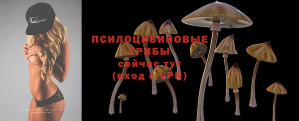индика Балабаново