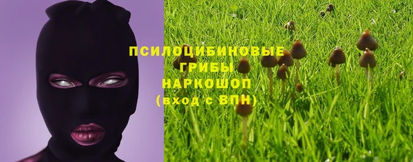 прущие грибы Баксан