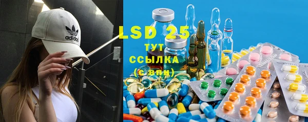 прущие грибы Баксан