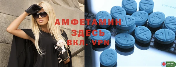 индика Балабаново
