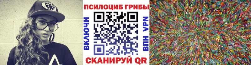 Псилоцибиновые грибы Cubensis  где продают наркотики  Нея 